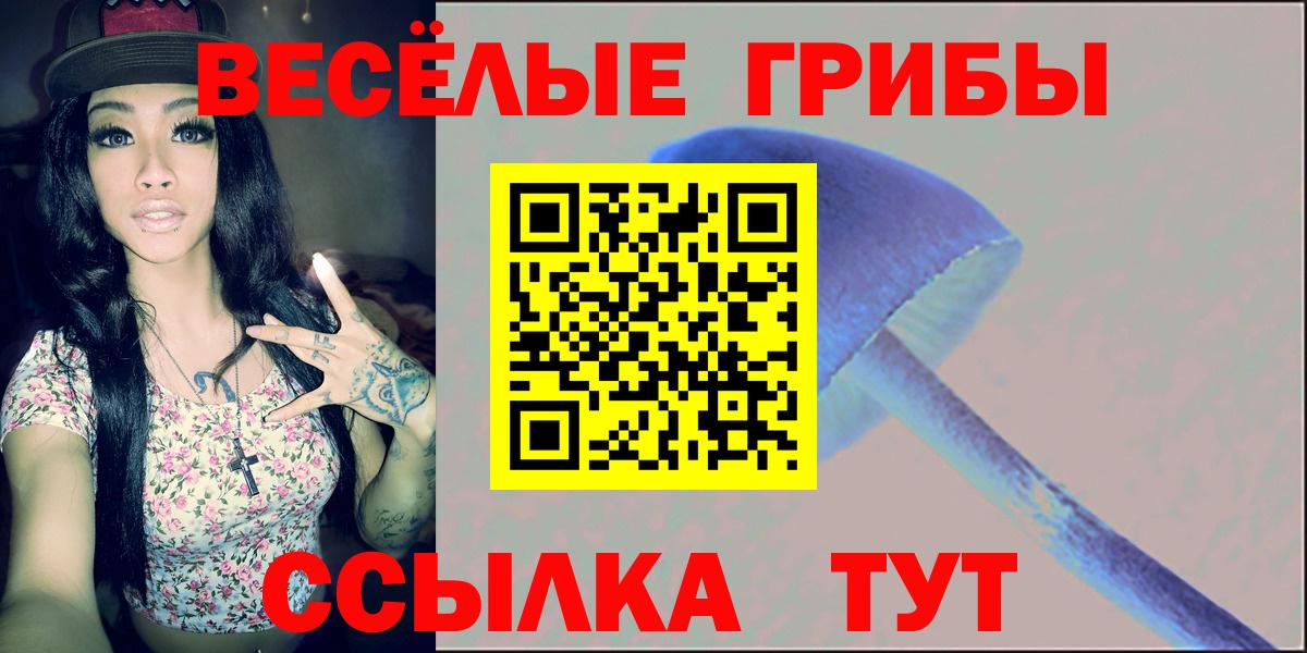 Псилоцибиновые грибы GOLDEN TEACHER  Галлюциногенные грибы Magic Shrooms  Надым  Вход с VPN 